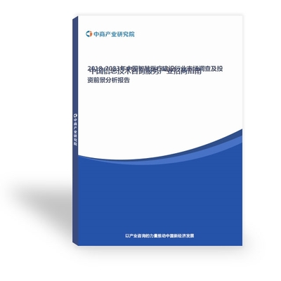 現(xiàn)代社會中的電子信息報告與信息技術(shù)咨詢服務 價值、挑戰(zhàn)與前景